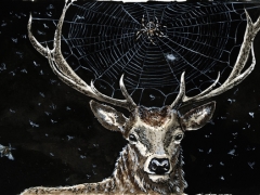 Hirsch mit Spinnennetz
