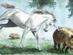 Einhorn, wildschwein