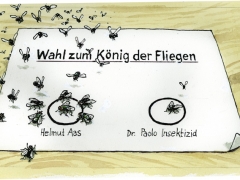 Wahl zum König der Fliegen