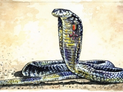 Staat und Recht, Kobra mit Bundesverdienstkreuz