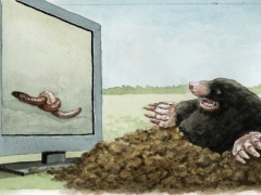 Maulwurf-TV, Regenwurm verknotet