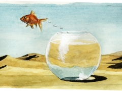 Staat und Recht, Goldfisch in der Wüste