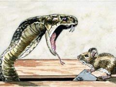 Schlange Maus wählt