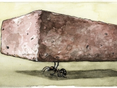 Ameise trägt Backstein