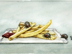 Kartoffelkäfer auf pommes frites