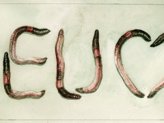 20190424,Regenwürmer lieben EU 2