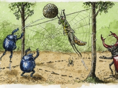 20191008, Käfer spielen Volleyball_bearbeitet-1