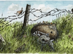 Vogel brütet im Stahlhelm