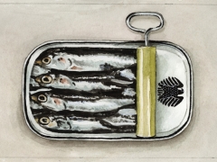 Staat und Recht, Heringe in Dose