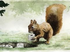 20200408, Eichhörnchen bunkert Klopapier