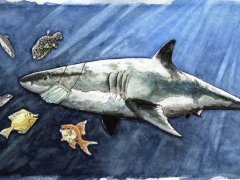 Staat und Recht, Hai mit Mundschutz