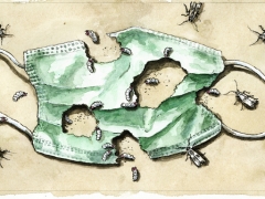 Motten fressen mundschutz