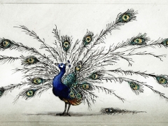 Staat und Recht, zerzauster Pfau