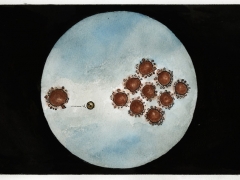 Staat und Recht, Corona-Viren kegeln