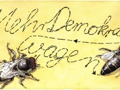 Bienenkönigin, mehr Demokratie