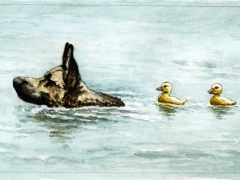 Staat und recht, Schäferhund und Entenküken