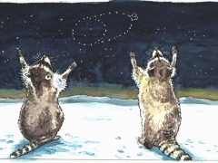 Waschbären Wurst anbeten