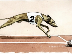 Staat und Recht, Windhund und Schnecke