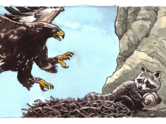 Staat und Recht. Adler-Waschbaer