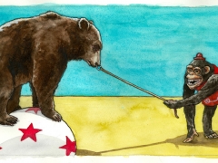 Staat und Recht, Bär und Zirkusaffe