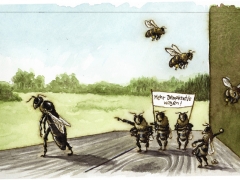 Staat und Recht, Bienen vertreiben Königin