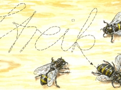 Rechteseite, Bienenstreik