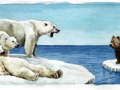 Staat und Recht, Braunbär mit Eisbären