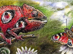 chamaeleon gegen schmetterling 2