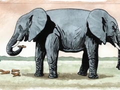 Staat und Recht, doppelter Elefant