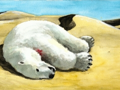 eisbaer in der wueste