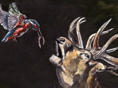 Rechteseite, Eisvogel füttert Fisch