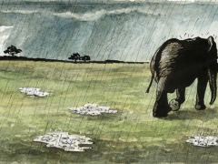 Staat und Recht, Elefant vergisst Regenschirm