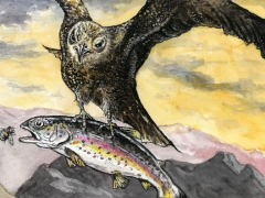 Rechteseite, Forelle