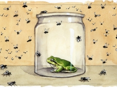 Staat und Recht, Frosch im Glas, Fliegenschwarm
