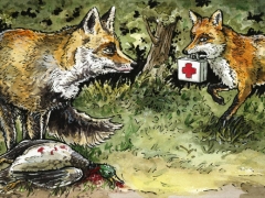 Fuchs mit Verbandskasten
