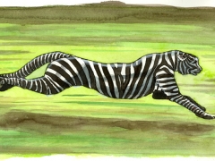 Staat und Recht; Gepard im Zebrafell