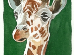 Statt und Recht, Giraffe und Spatz