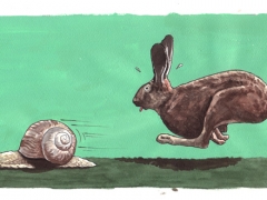 Staat und Recht, Schnecke und Hase