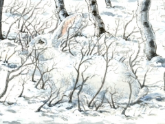 Staat und Recht Has im Schnee