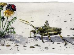 Staat und recht, Heuschrecke angebunden