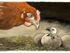 Staat-und- Recht, Huhn und Geierküken