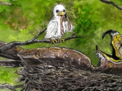 junger-vogel-fuettert-eltern