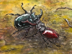 Rechtsseite, Käferkampf