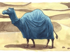 kamel-burka