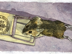 kirchenmaus in vatikanfalle