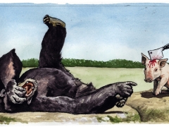 Staat und Recht, lachender Affe, Ferkel