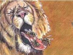 rechteseite, Löwe, Wespe