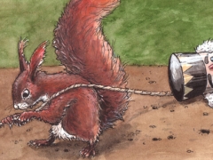 Rechteseite, Nussknacker