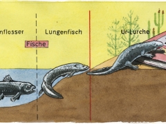 quastenflosser und Familienpolitik