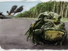 Staat uund Recht, Kröten überfahren im Krieg